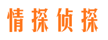 保亭寻人公司